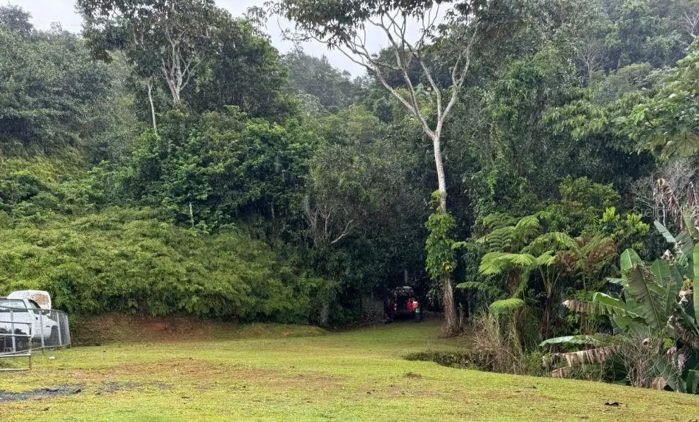 Address not disclosed, Bayamon, PR 00956