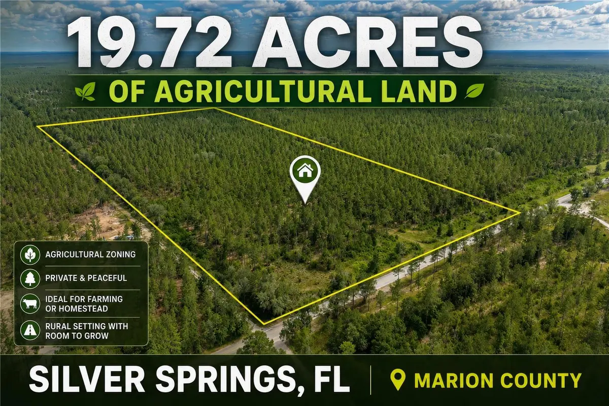 NE 90TH STREET RD, Fort Mc Coy, FL 32134