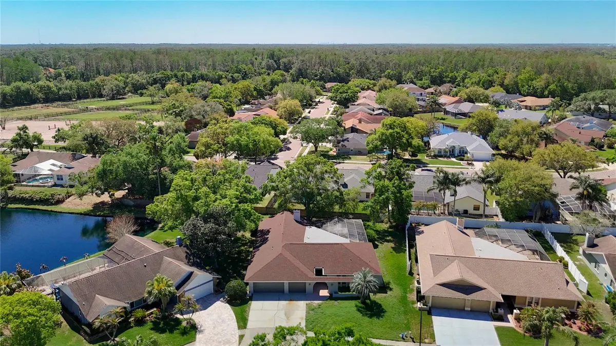 4072 BELMOOR DR, Palm Harbor, FL 34685