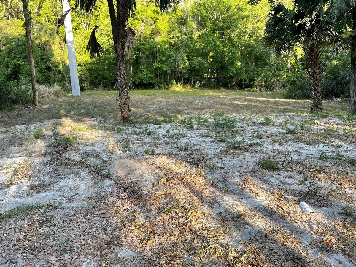 PARK AVE, De Leon Springs, FL 32130