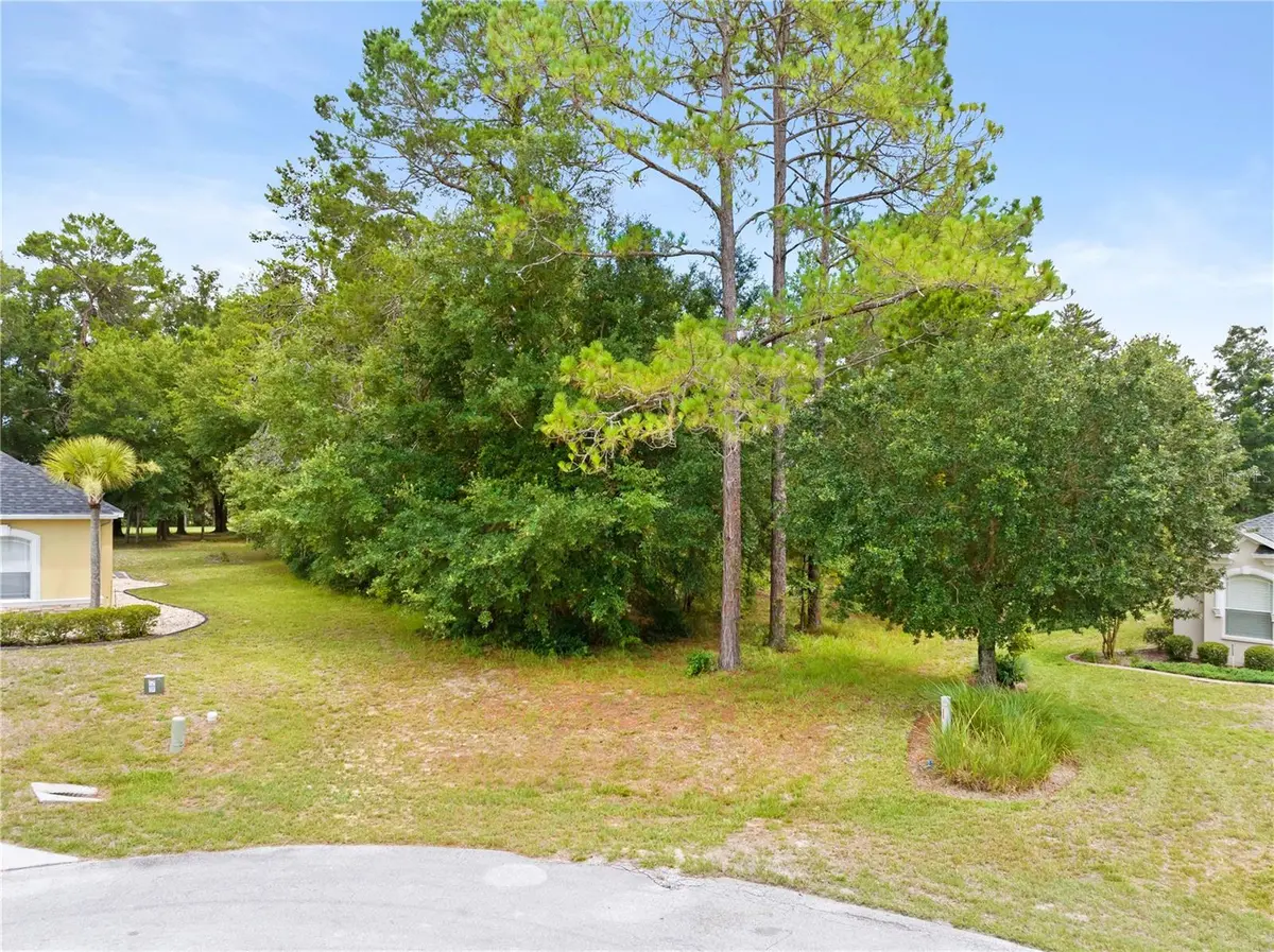 17 WOODLEE CT S, Homosassa, FL 34446