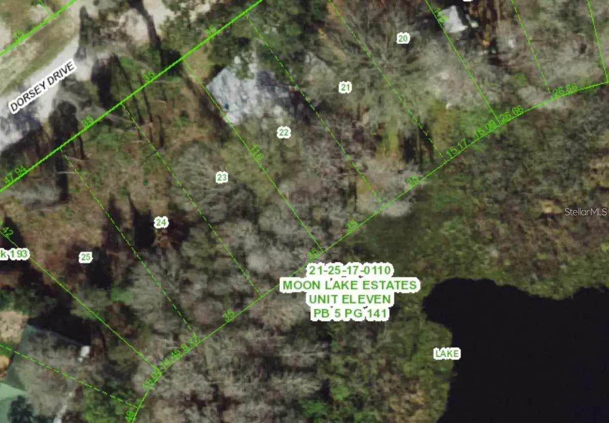 12350 DORSEY DR, New Port Richey, FL 34654