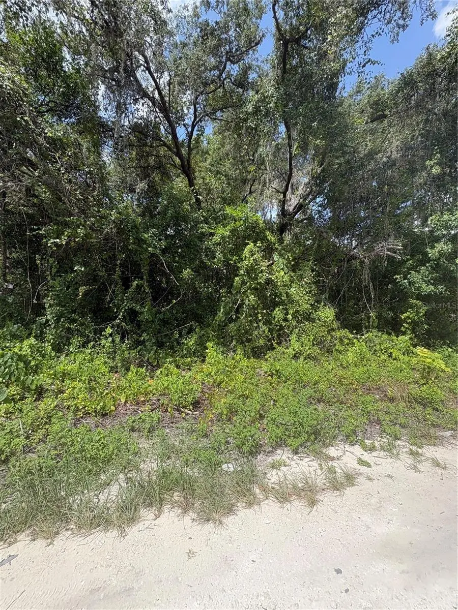 SPARE DR, New Port Richey, FL 34654