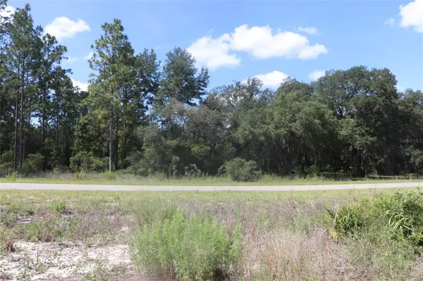 TBD SE 114TH PL, Dunnellon, FL 34431