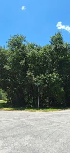 SEQUOIA DR #Lot 5, Ocklawaha, FL 32179