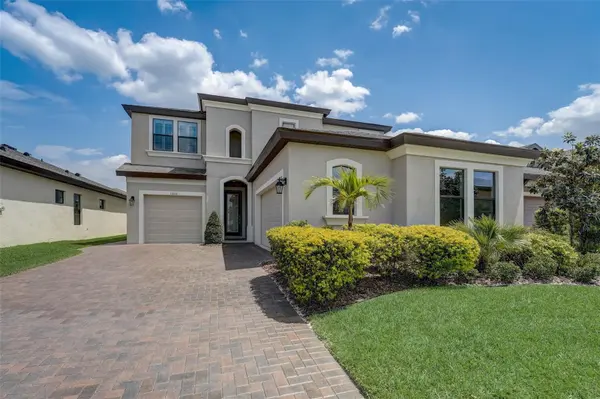13106 FOXTAIL FERN DR, Riverview, FL 33579