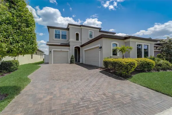 13106 FOXTAIL FERN DR, Riverview, FL 33579
