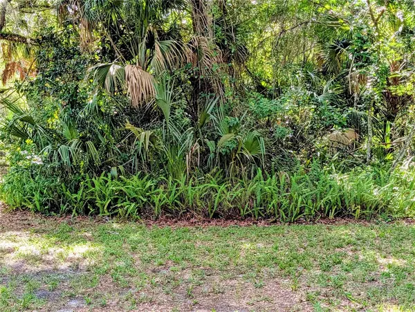 1495 N TORO DR, Inverness, FL 34453