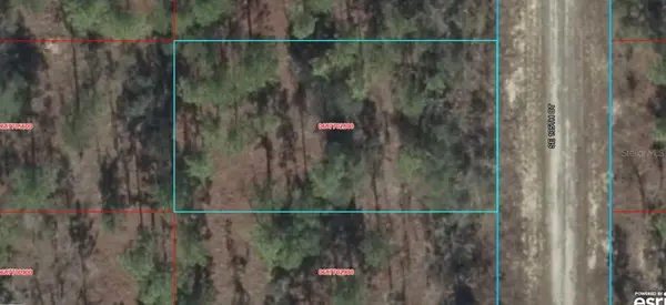 06877-028-00 SE 135TH CT, Dunnellon, FL 34431