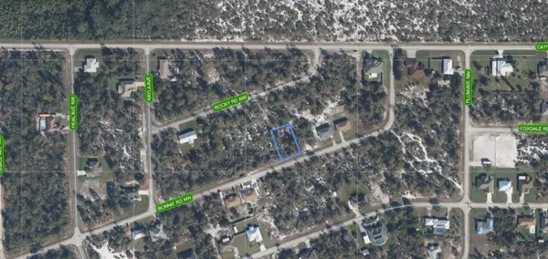 117 BONNIE RD NW, Lake Placid, FL 33852