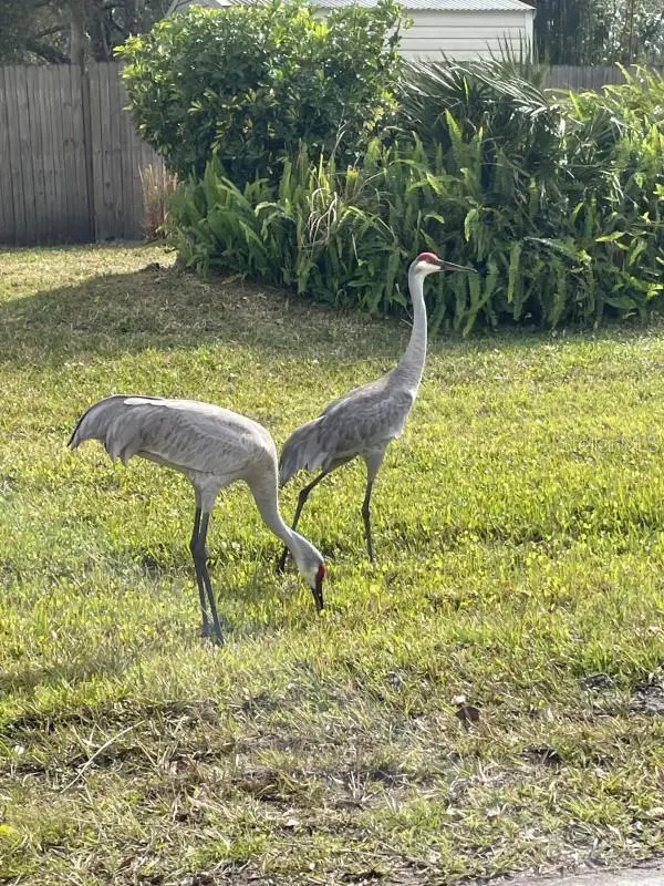 32 FYFE AVE, Debary, FL 32713
