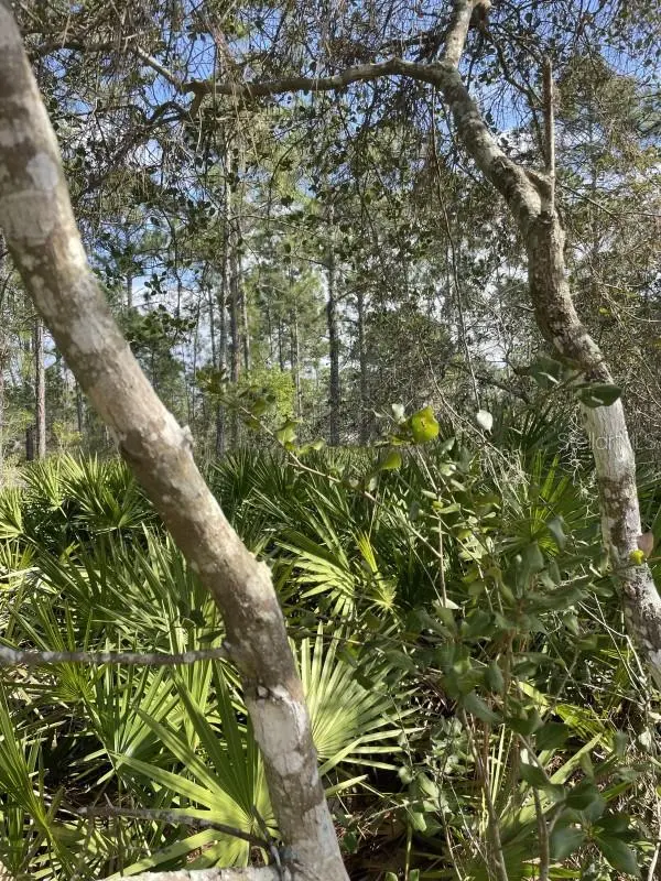 32 FYFE AVE, Debary, FL 32713