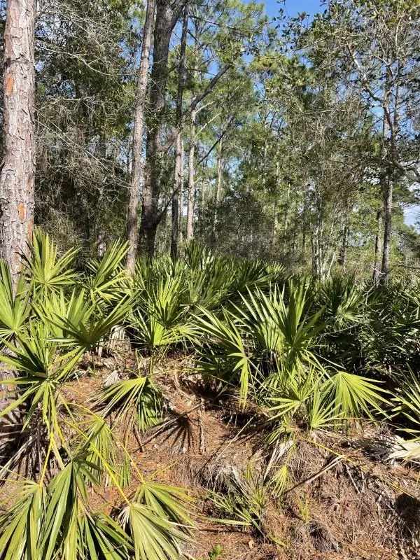 32 FYFE AVE, Debary, FL 32713