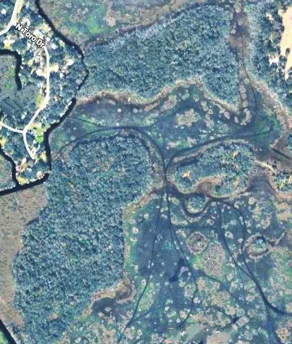 0 N TORO DR, Inverness, FL 34453