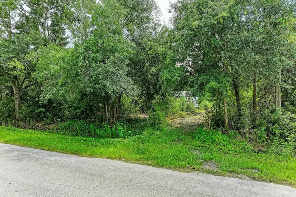 10907 ESTATES DEL SOL DR, Riverview, FL 33579