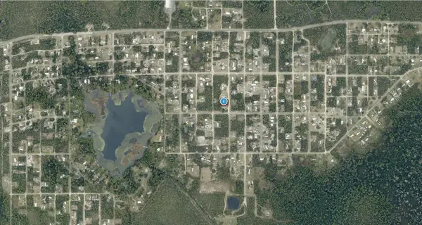 14-17-28-0200-004-04100 OAK ST, Paisley, FL 32767