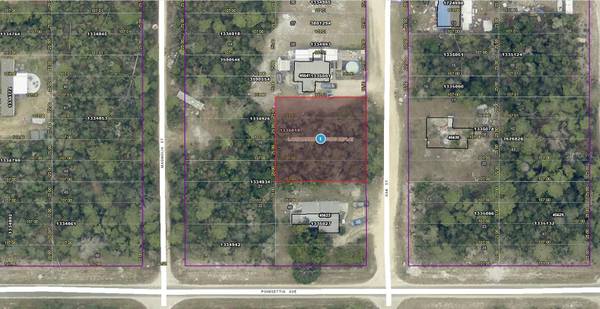 14-17-28-0200-004-04100 OAK ST, Paisley, FL 32767