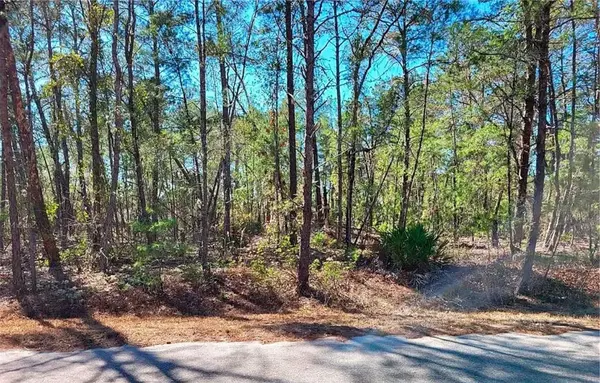 76 FISHER RUN TER, Ocklawaha, FL 32179