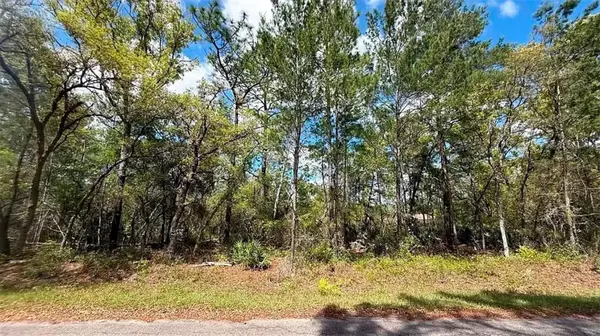 76 FISHER RUN TER, Ocklawaha, FL 32179