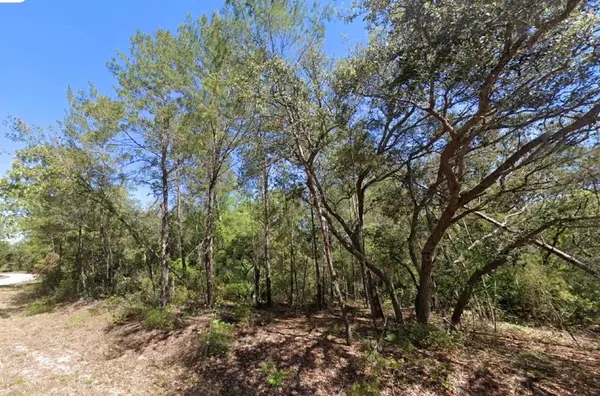 76 FISHER RUN TER, Ocklawaha, FL 32179