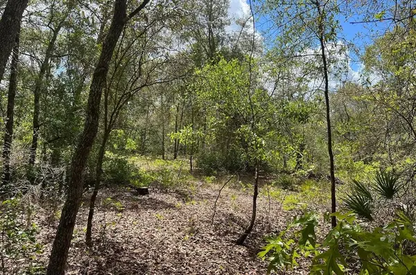 0000 LADY BUG LN, Melrose, FL 32666