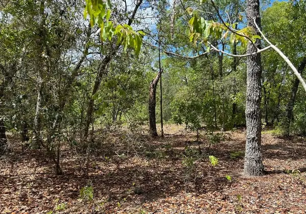 0000 LADY BUG LN, Melrose, FL 32666