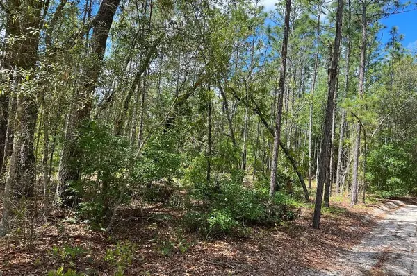 0000 LADY BUG LN, Melrose, FL 32666