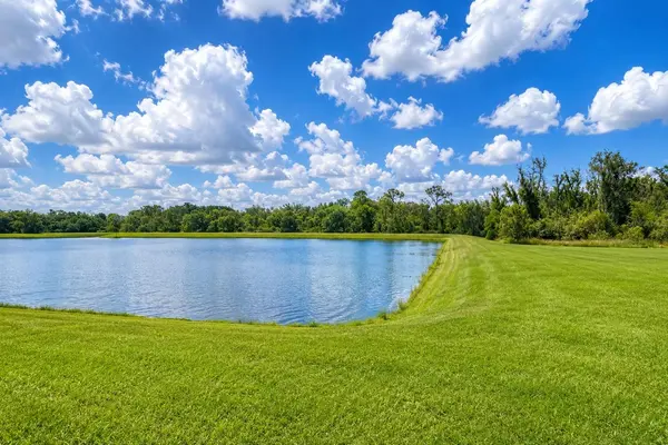 17132 WHITE MANGROVE DR, Wimauma, FL 33598
