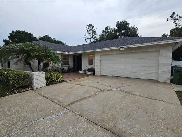 22360 SOUTHSHORE DR, Land O Lakes, FL 34639
