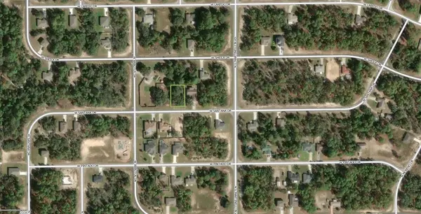 2809 W SANTANA DR, Citrus Springs, FL 34433