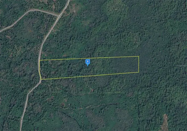 1301 ALTON WENTWORTH RD, Greenville, FL 32331