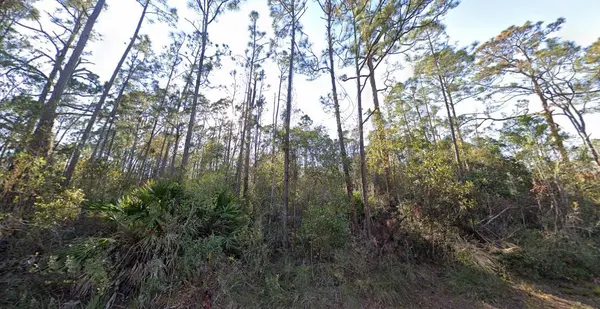 1054 ROBIN ST, Lake Placid, FL 33852