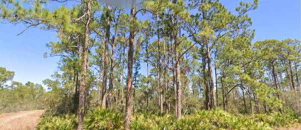 804 FORMOSA ST, Lake Placid, FL 33852