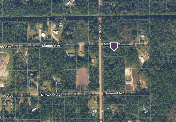 2515 BEECH BLVD, Bunnell, FL 32110