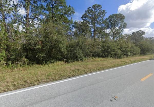 OLD GRADE RD, Polk City, FL 33868