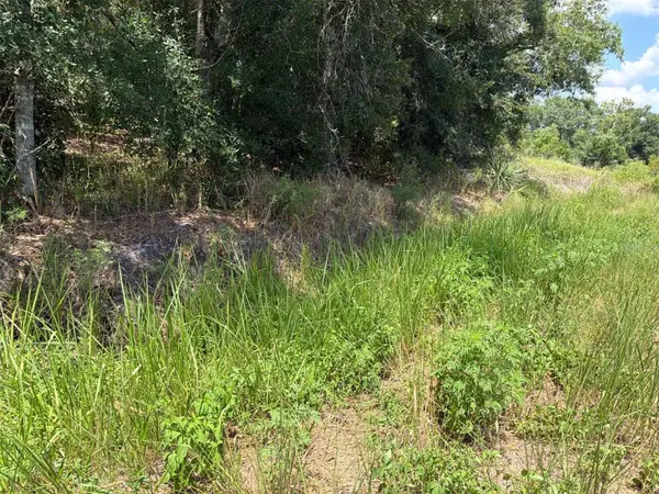 16171 NW 254TH ST, Okeechobee, FL 34972