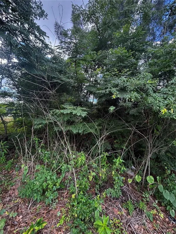 LEE ST, Bowling Green, FL 33834