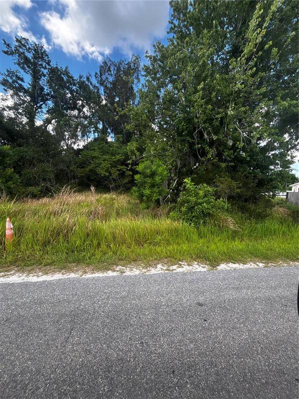 LEE ST, Bowling Green, FL 33834