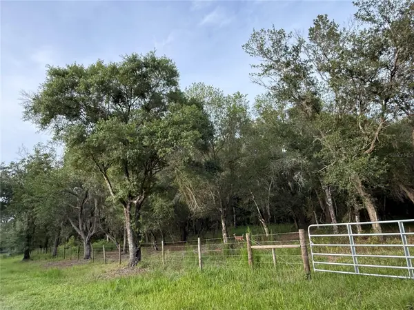 SE BROWN RD, Arcadia, FL 34266
