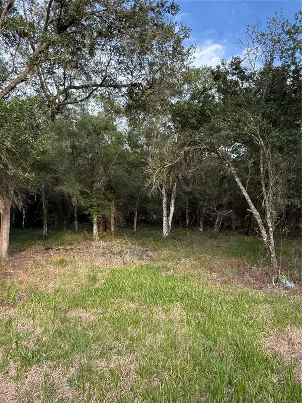 SE BROWN RD, Arcadia, FL 34266