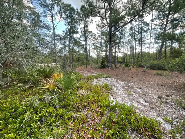 515 CONCERT DR, Lake Placid, FL 33852
