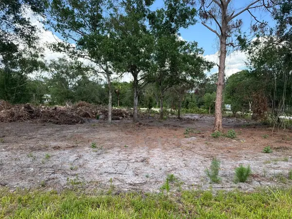 10234 N CENTER AVE, Okeechobee, FL 34972