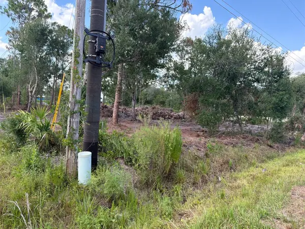 10234 N CENTER AVE, Okeechobee, FL 34972