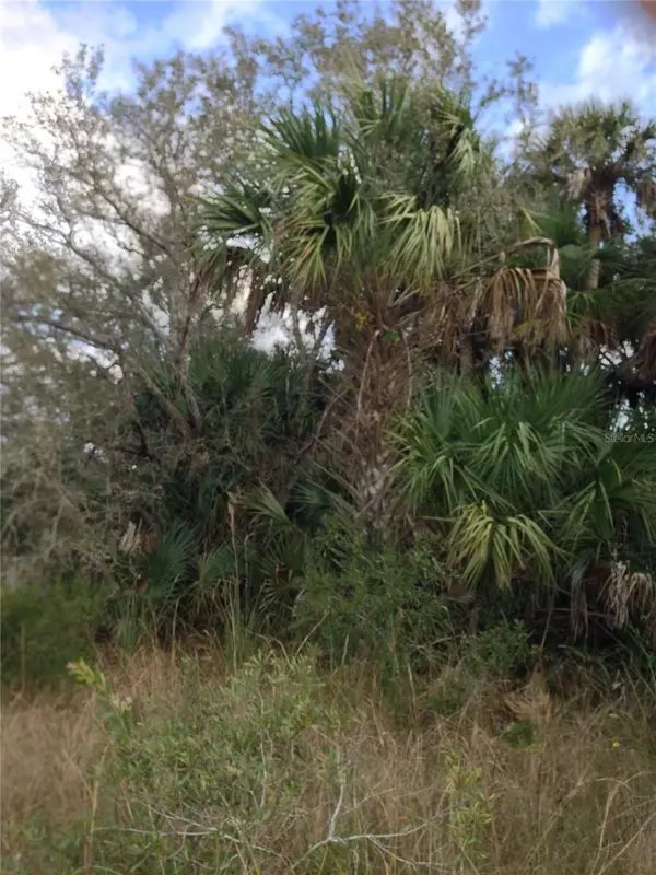 50670 BERMONT RD, Punta Gorda, FL 33982