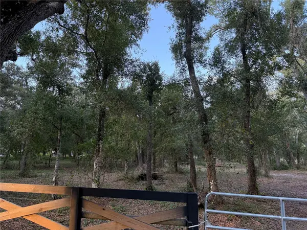 SE BROWN RD, Arcadia, FL 34266