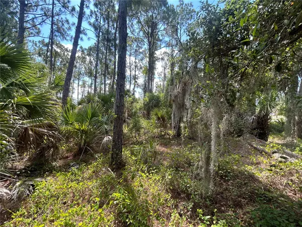 BILLBERRY ST, North Port, FL 34288