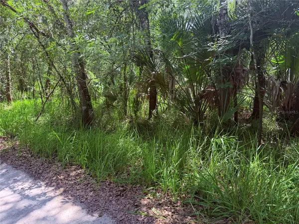 NE RIVER RIDGE AVE, Arcadia, FL 34266