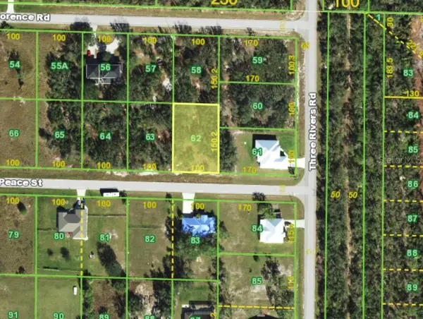 31122 PEACE ST, Punta Gorda, FL 33982
