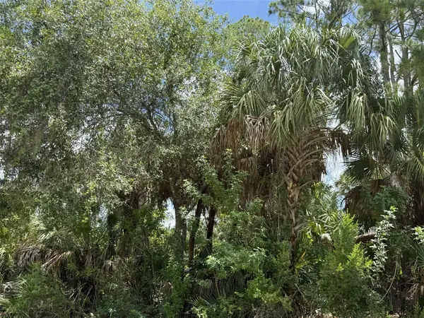 BADALI RD, North Port, FL 34286