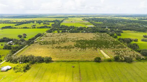 SW CARLTON AVE, Arcadia, FL 34266
